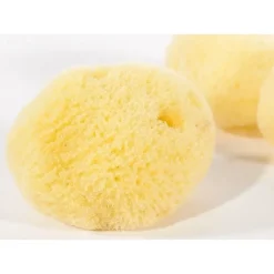 Éponges Naturelles (lot De 3) -Epees Celtiques Magasin eponges naturelles lot de 3 2